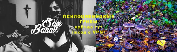 MESCALINE Вяземский